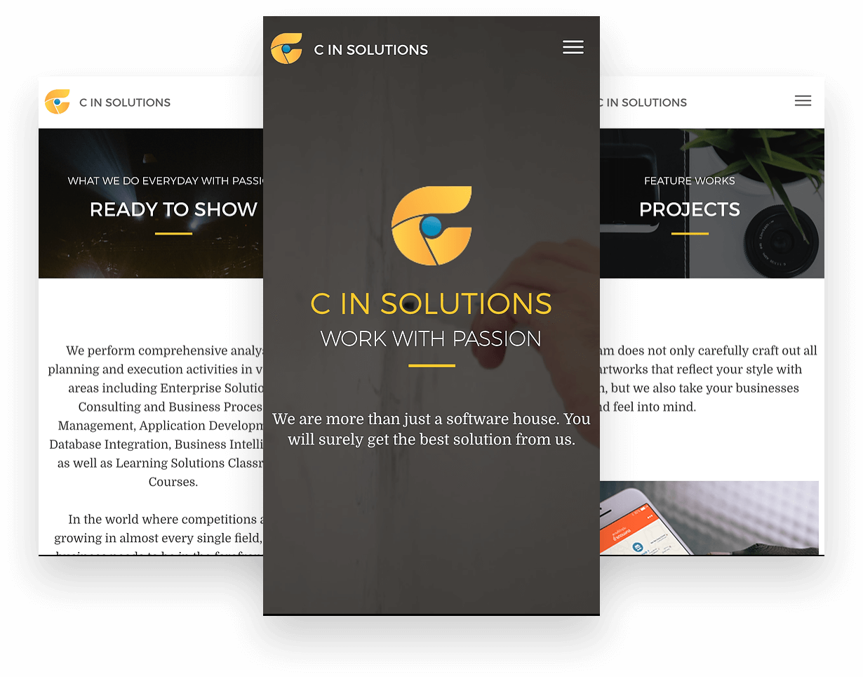 Biscuit Studio's work. C In Solutions.